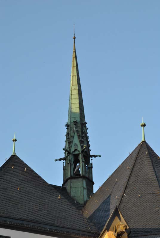 DSC_0417